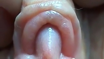 Intense Close-Up Of A Woman'S Clitoris And Pussy Lips