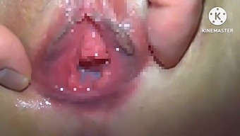 Amateur Japanese Couple'S Intimate And Pretty Pussy Fucking Session